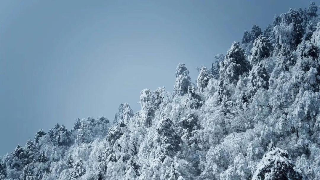 聚焦问题,畅谈心声,天涯问答平台随着人们生活水平的不断提高,年轻人有必要开始养生吗?